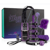 Набор БДСМ Secret Pleasure Chest Purple Apprentice 9 предметов, фиолетовый