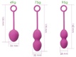 Вагинальные шарики Svakom Nova Ball с переменным центром тяжести, розовый