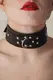 Ошейник с кнопками BDSM Арсенал, коричневый