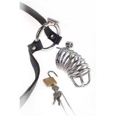 Пояс верности Pipedream Extreme Chastity Belt, серебристый от IntimShop