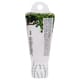 Возбуждающий гель для двоих с разогревающим эффектом HotFlowers Bindweed, 15 г