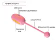 Тренажер Кегеля Magic Kegel Coach, розовый