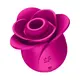 Вакуумный стимулятор клитора Satisfyer Pro 2 Modern Blossom, розовый