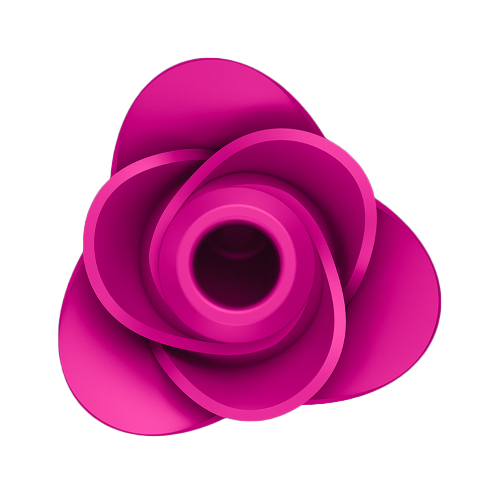 Вакуумный стимулятор клитора Satisfyer Pro 2 Modern Blossom, розовый