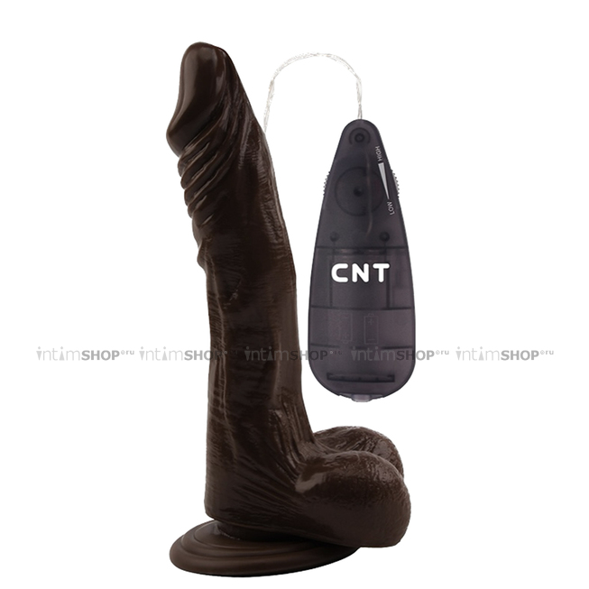 Вибратор CNT Dick Buddies: Buzzing Vibrating Beginner Dildo 21.5 см, коричневый - фото 1