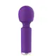 Вибромассажер CNT Fancy Her Intimate Wand, фиолетовый