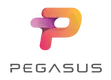 Секс игрушки Pegasus